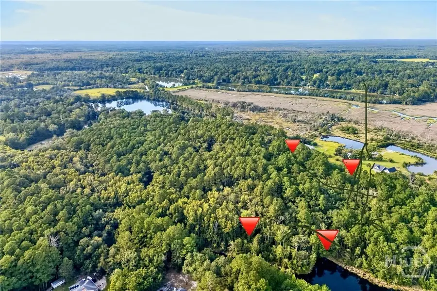 Lot 016 Lake No No Road, Midway, GA 31320 - #3