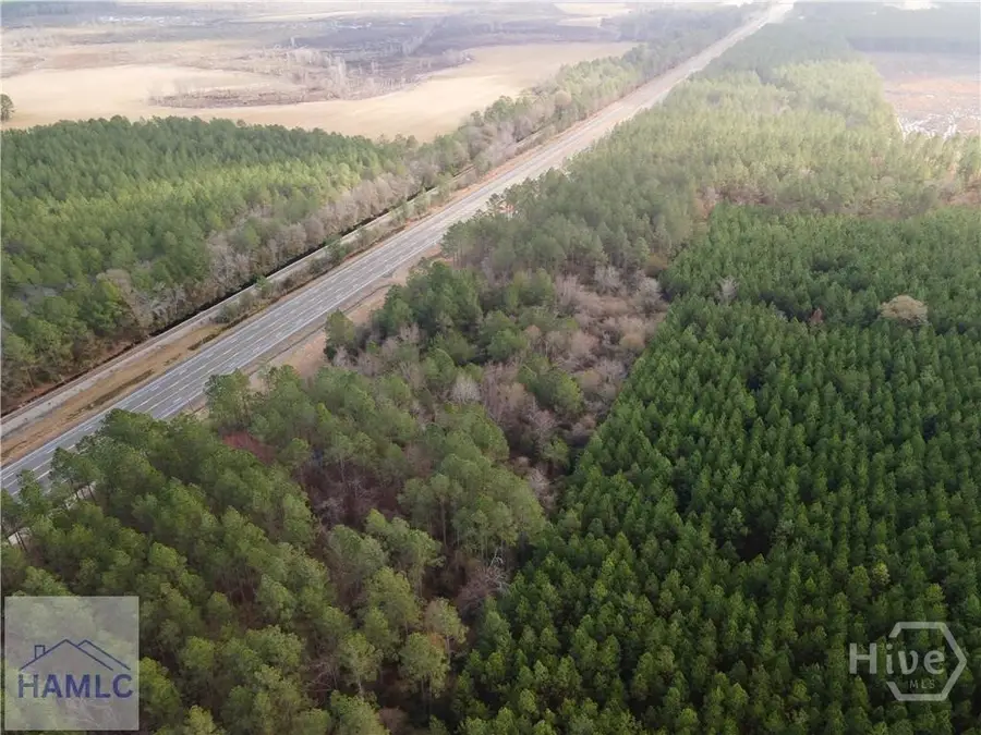 10.00 AC Hwy 341 / Odum Highway, Odum, GA 31555 - #2