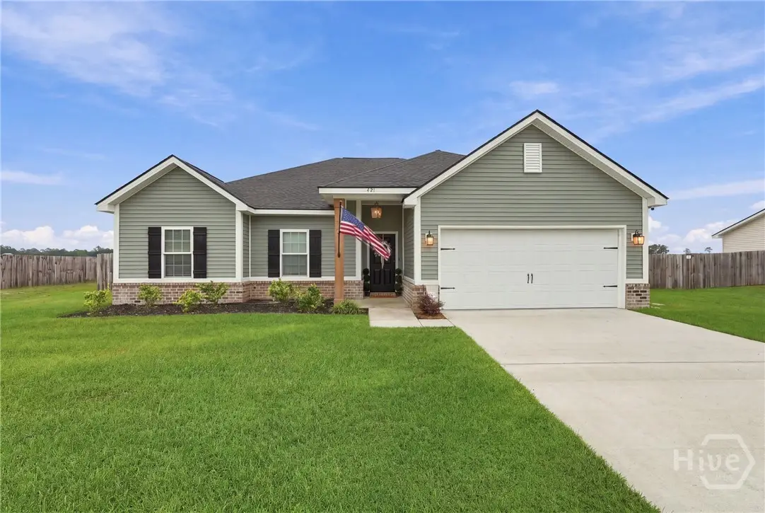 421 Doctors Creek Road Ne, Ludowici, GA 31316 - #1