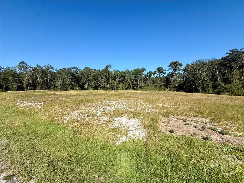 0 Strickland Street, Pembroke, GA 31321 - #1