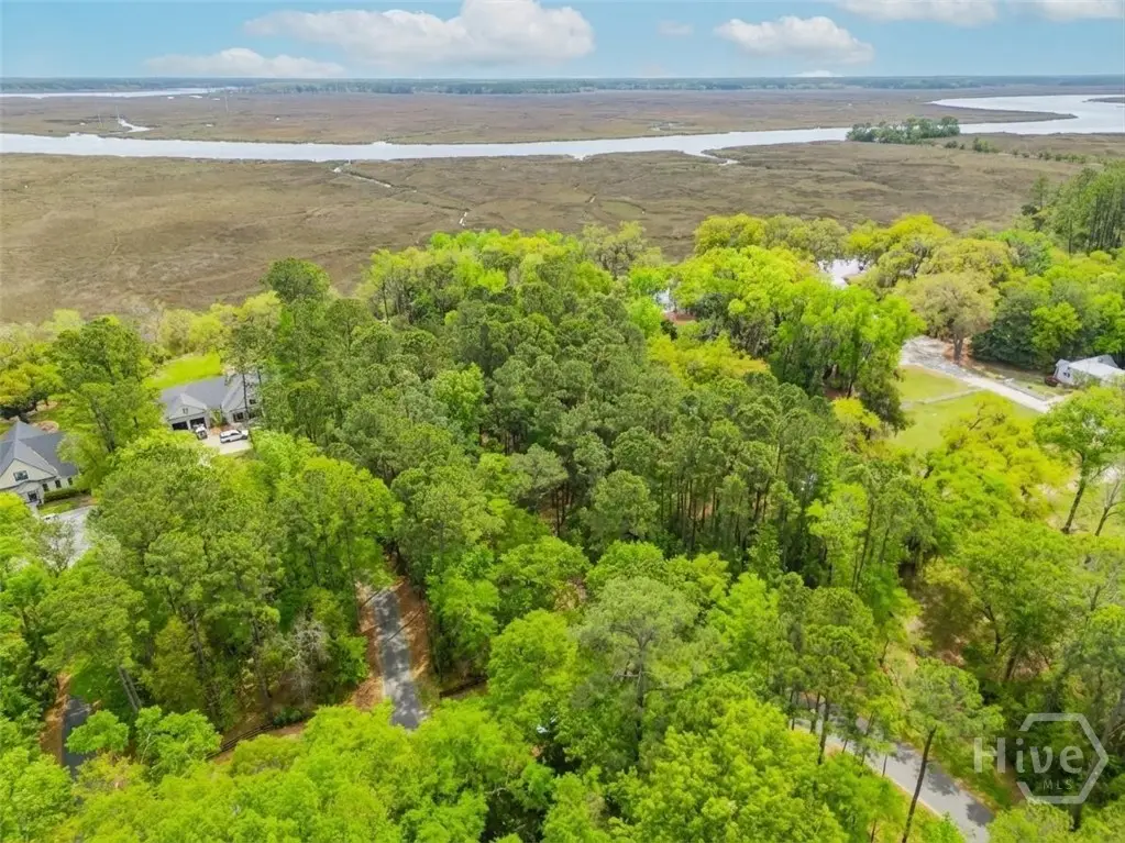 120 Drifton Drive, Savannah, GA 31419 - #1