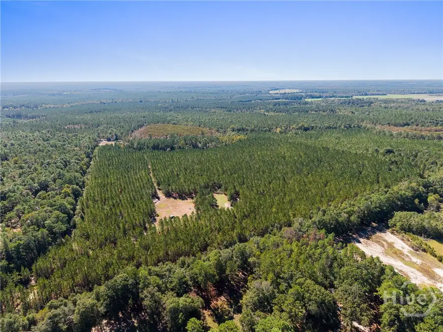 3788 Poor Robin Road, Sylvania, GA 30467 - #2