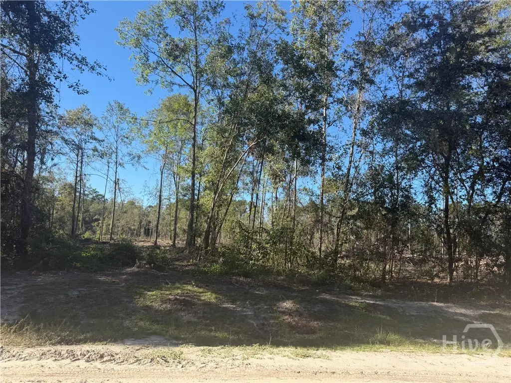 Lot 8 Cherrywood Drive, Ellabell, GA 31308 - #1