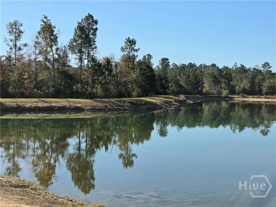 178 Lee Place Road Ne, Ludowici, GA 31316 - #2