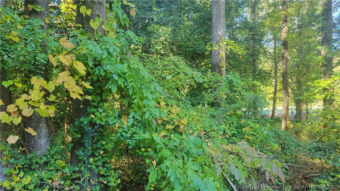 636 Angus Court, Sanford, NC 27332 - Image #1