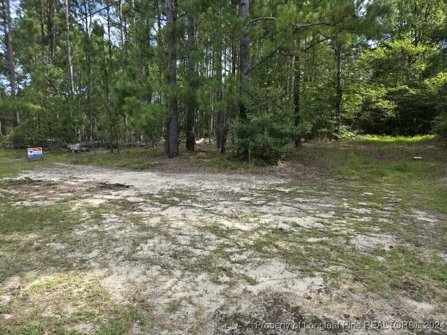 815 Morrison Bridge Road, Vass, NC 28394 - Image #2