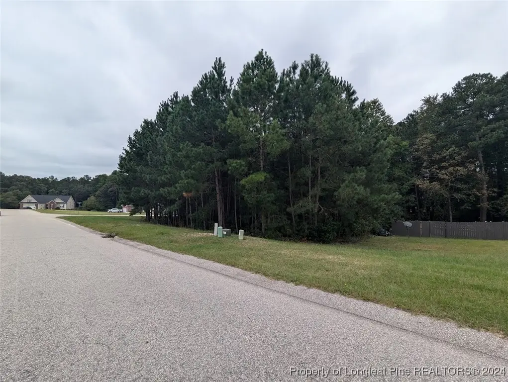 TBD 282 Falling Leaf Drive, Raeford, NC 28376 - Image #1