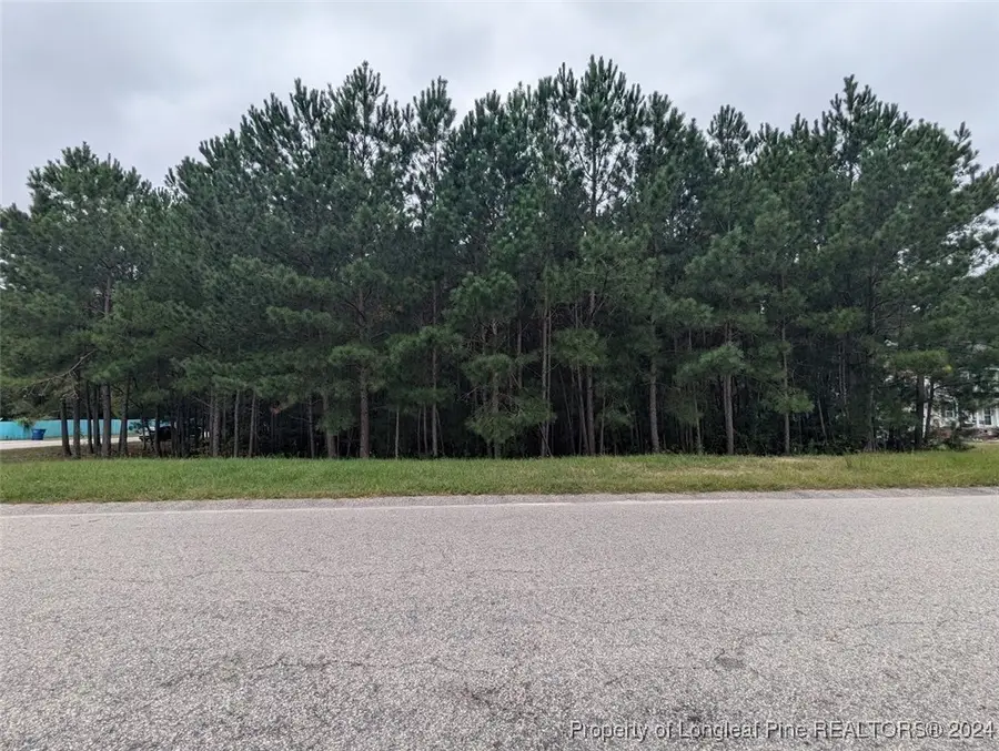 TBD 282 Falling Leaf Drive, Raeford, NC 28376 - Image #2