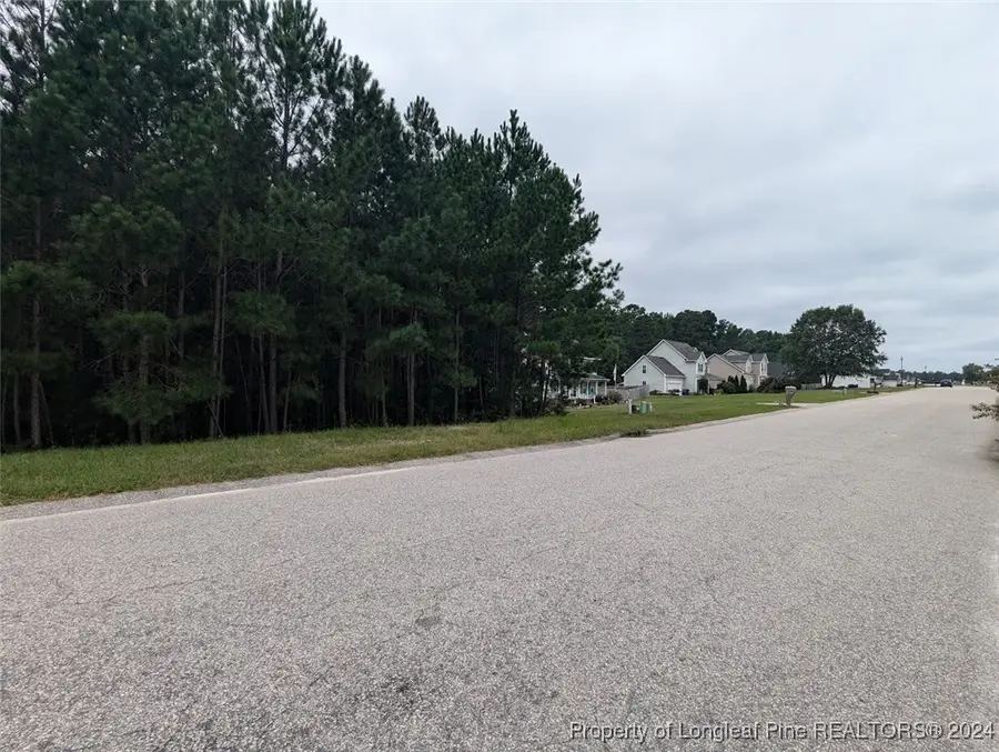 TBD 282 Falling Leaf Drive, Raeford, NC 28376 - Image #3