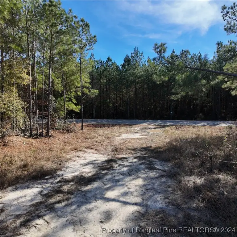 2801 Mcbryde Street, Linden, NC 28356 - Image #3