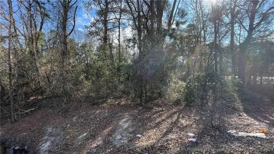 0 Robeson Street, Fayetteville, NC 28305 - #2