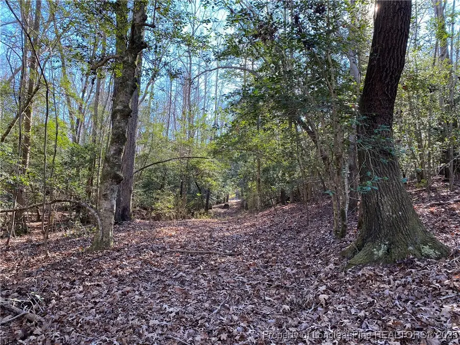 2055 Long Point Trail, 1 Greenwood, NC 27332 - Image #3