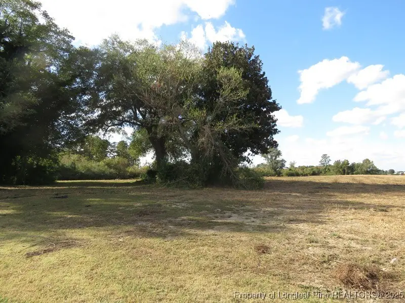 Lot 7 Nc 130 Highway, Fairmont, NC 28340 - Image #1