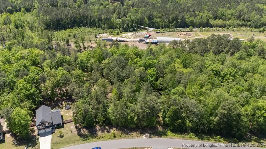 219 Stella Way, Cameron, NC 28326 - #3