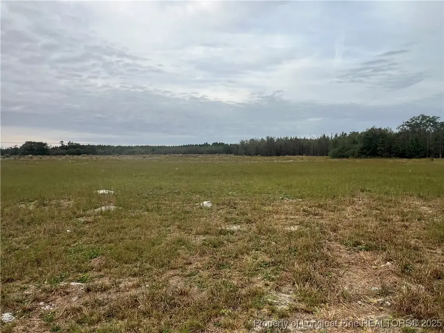 3949 Blue Springs (lot 2) Road, Red Springs, NC 28377 - Image #3