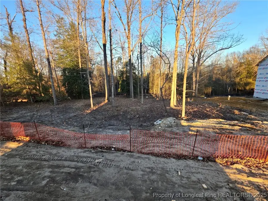 416 Black Duck (lot 78) Lane, Lillington, NC 27546 - Image #3