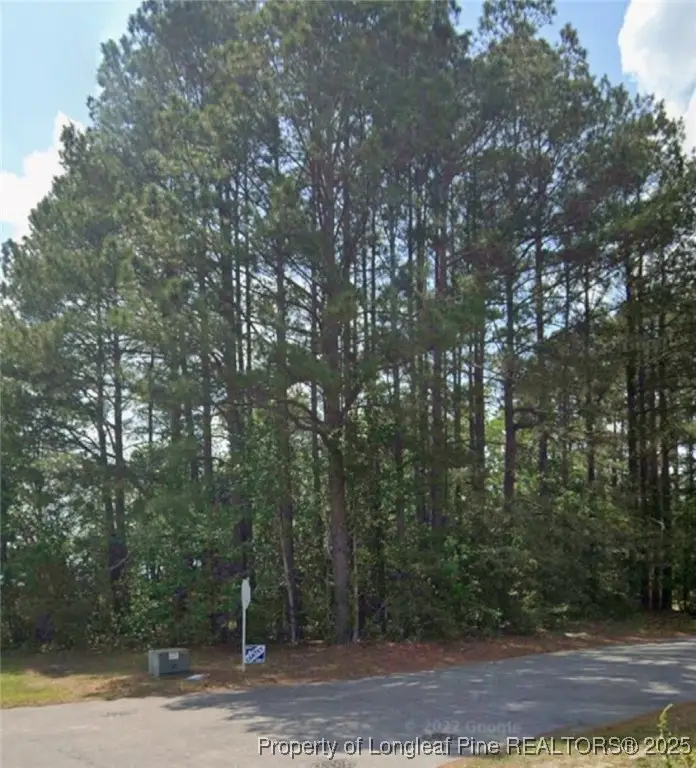 0 Marion Road, Lumberton, NC 28358 - Image #2