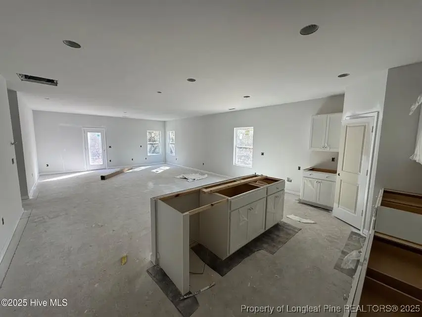 163 Horse Trot Lane, Johnsonville, NC 27332 - Image #3