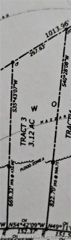 Lot 3 Daniel Mcleod Road, Red Springs, NC 28377 - #2