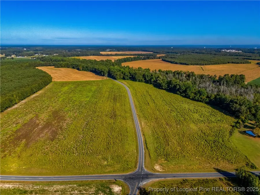 Lot 3 Daniel Mcleod Road, Red Springs, NC 28377 - #3