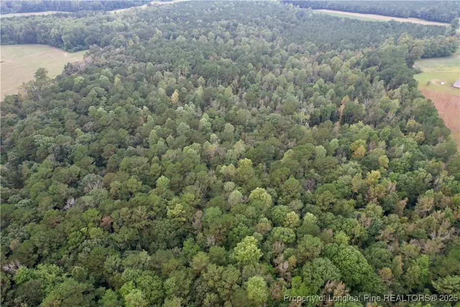 284 Irene Drive, Clarkton, NC 28433 - Image #2