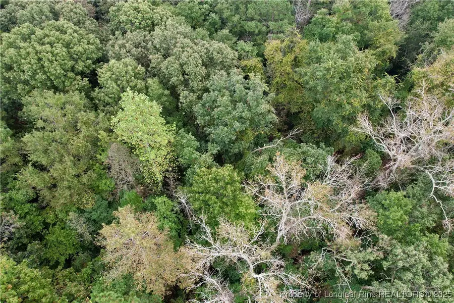 284 Irene Drive, Clarkton, NC 28433 - Image #3