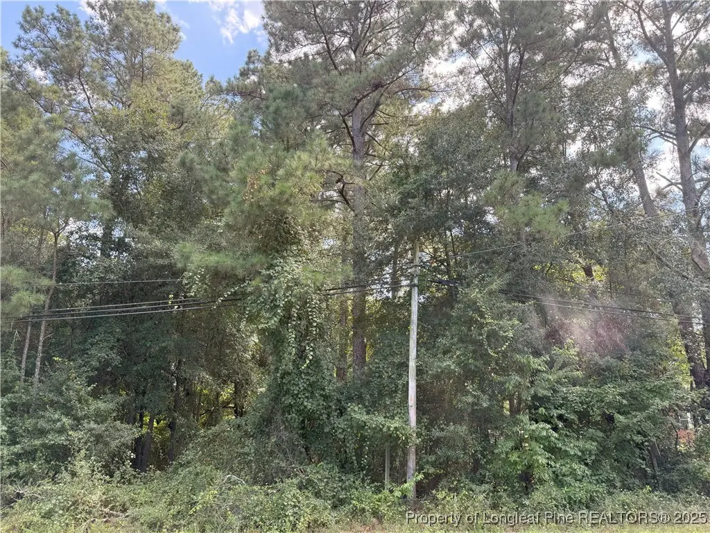 Lot 1 E Williams Street, Autryville, NC 28318 - Image #1