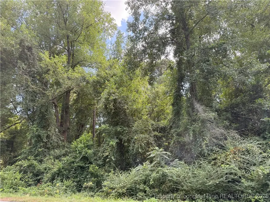 Lot 3 E Williams Street, Autryville, NC 28318 - Image #2