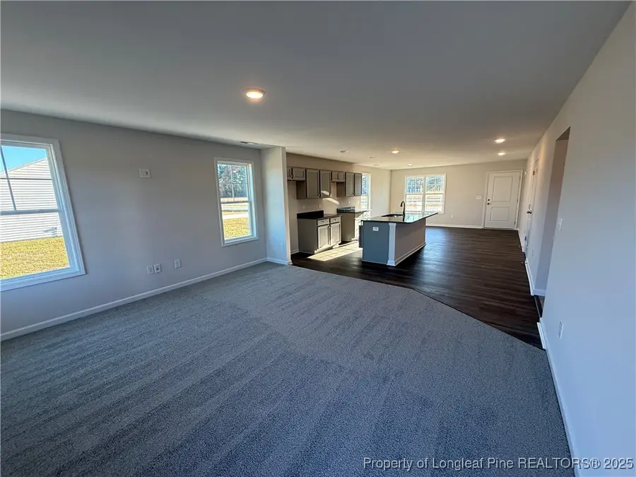 74 Dalton Drive, Lumber Bridge, NC 28357 - Image #3