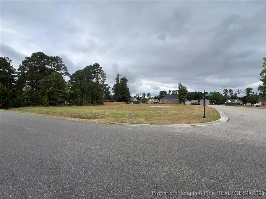 Wesley Pines Road, Lumberton, NC 28358 - Image #2
