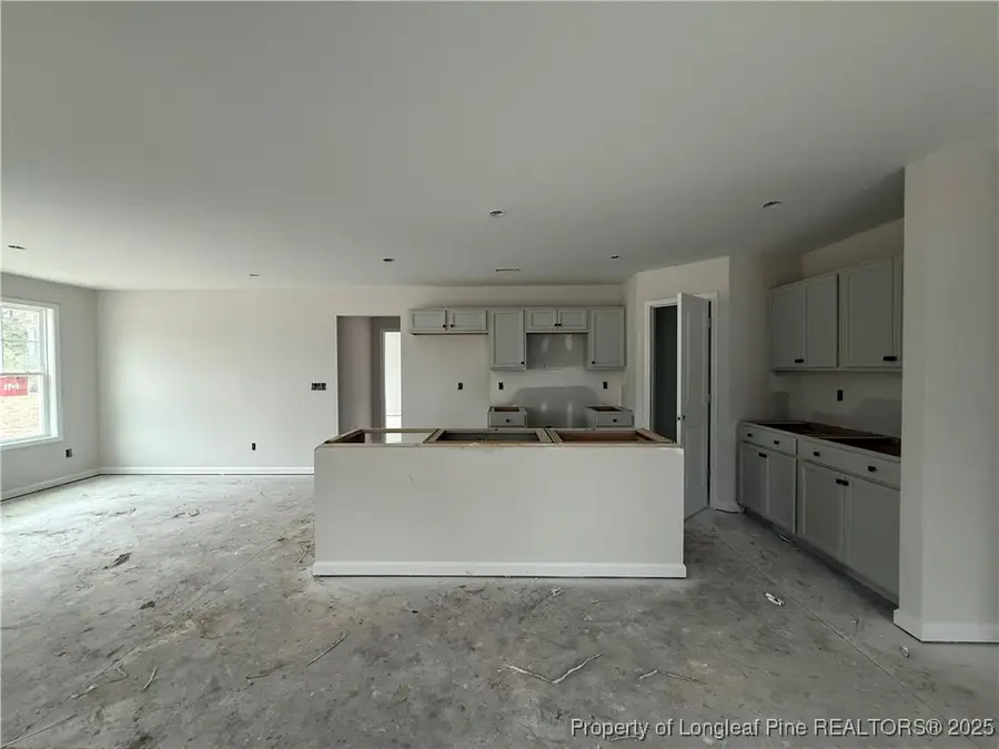 214 Dalton (lot 4) Drive, Lumber Bridge, NC 28357 - Image #2