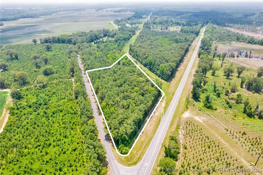 Seals Road, Laurinburg, NC 28352 - Image #3