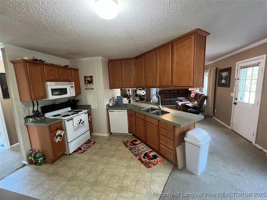 1435 E Green Springs Road, Parkton, NC 28371 - #3