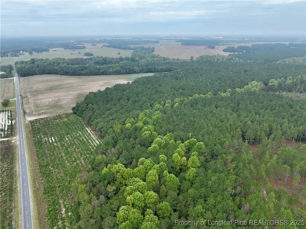 Stuarts Mill Road, Fairmont, NC 28340 - Image #1