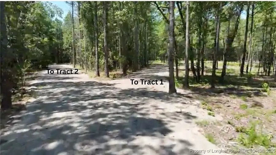 Cameron Hill Road, Cameron, NC 28326 - Image #3