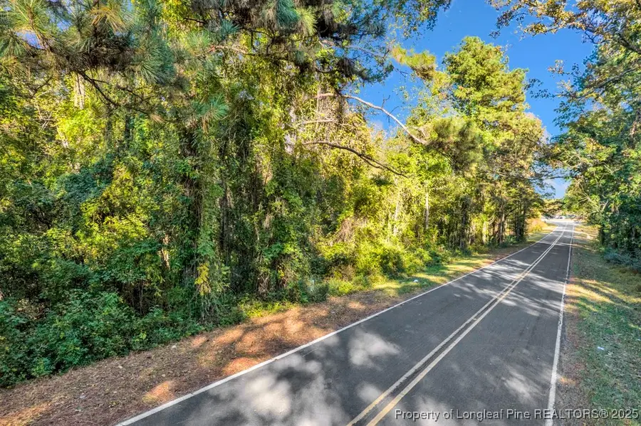 00 Walker Road, Linden, NC 28356 - Image #2