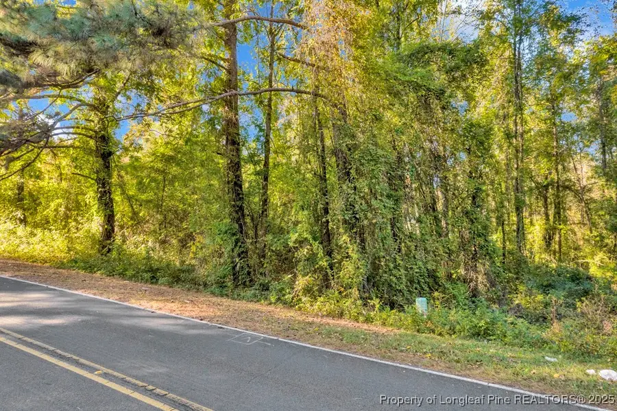 00 Walker Road, Linden, NC 28356 - Image #3