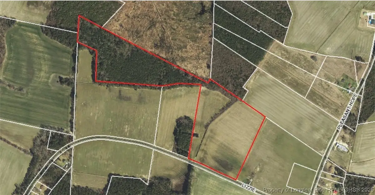 0 Lizzie Road, Fairmont, NC 28340 - Image #1
