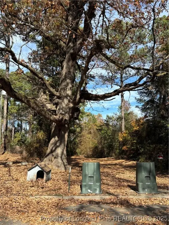 Wilma Street, Fayetteville, NC 28301 - Image #2