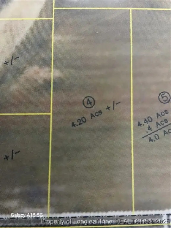 Lot 4 Buie Philadelphus Road, Red Springs, NC 28377