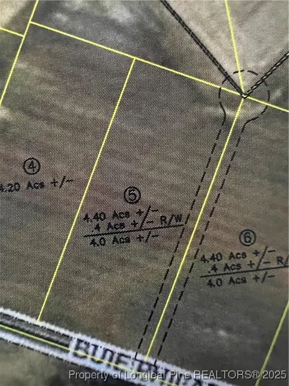 Lot 5 Buie Philadelphus Road, Red Springs, NC 28377