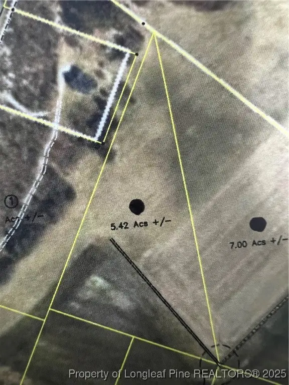 5.42 acres Buie Philadelphus Road, Red Springs, NC 28377 - Image #1