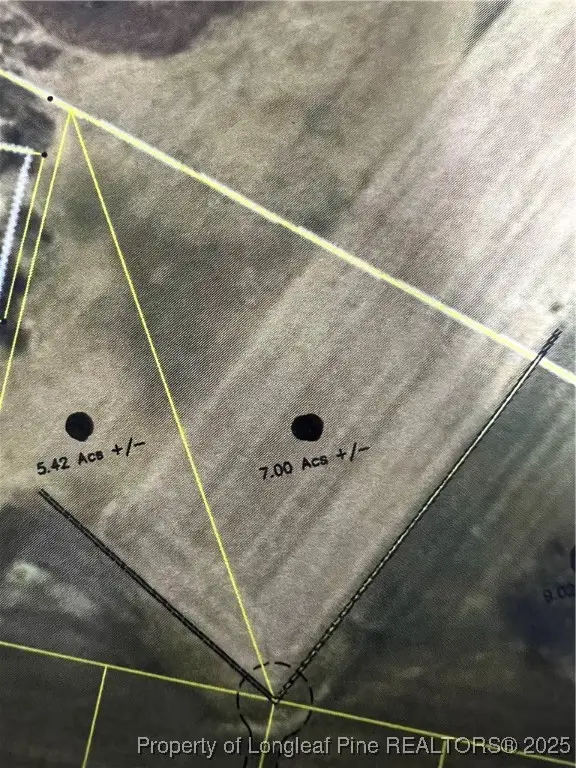 7.0 acres Buie Philadelphus Road, Red Springs, NC 28377