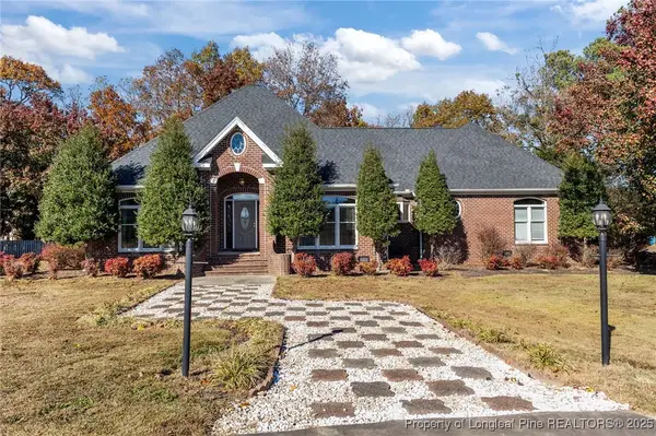 699 Holly Springs Church Road, Broadway, NC 27505