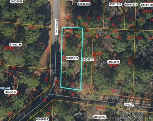 TBD Lincoln Avenue, Vass, NC 28394