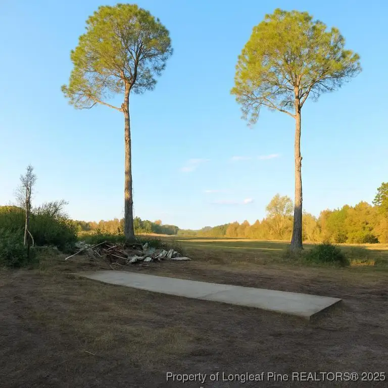 2133 Snake Road, Lumberton, NC 28358 - Image #2