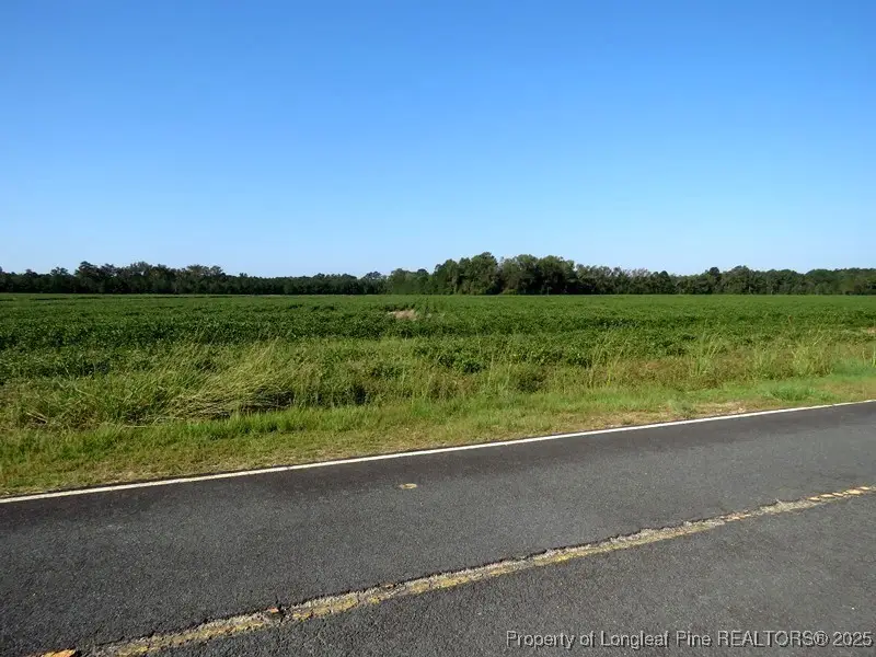 TBD Cowpen Swamp Road, Fairmont, NC 28340 - Image #2