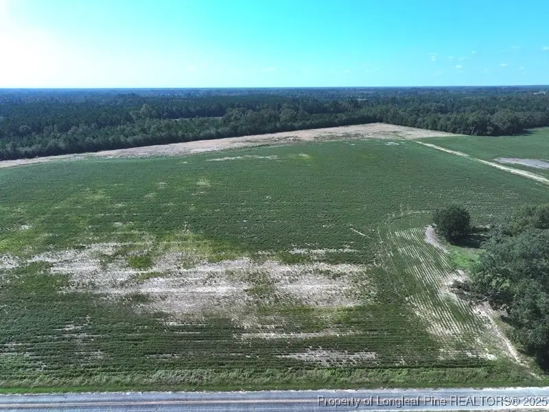 TBD Cowpen Swamp Road, Fairmont, NC 28340 - #1
