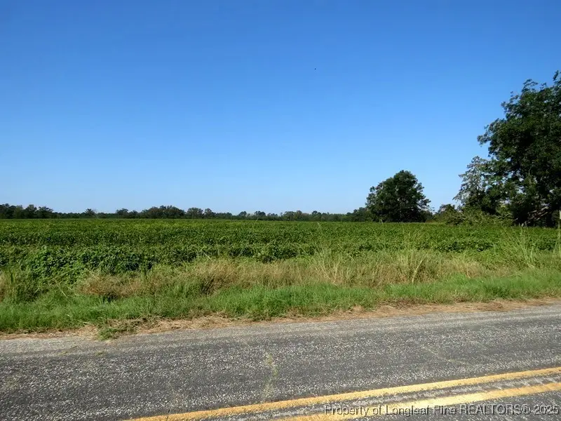 TBD Cowpen Swamp Road, Fairmont, NC 28340 - #2