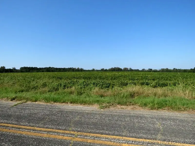 TBD Cowpen Swamp Road, Fairmont, NC 28340 - #3